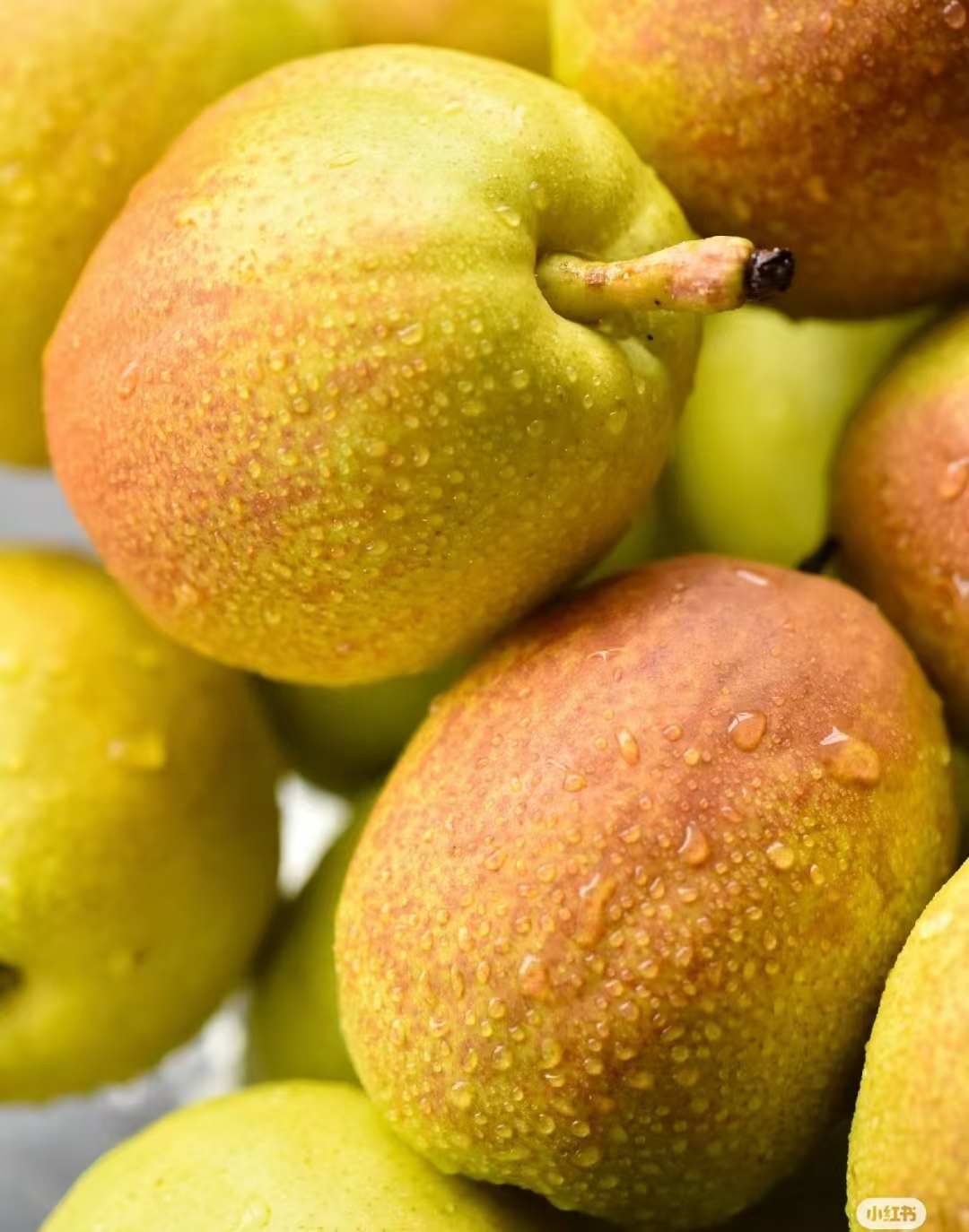  korla pear