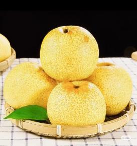 Dangshan pear 