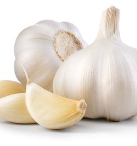 Garlic 